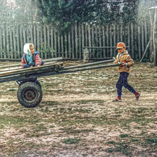 Photo #12422139