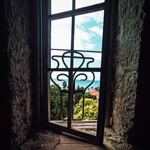 Photo #12422243