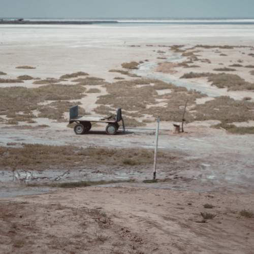 Photo #12422374