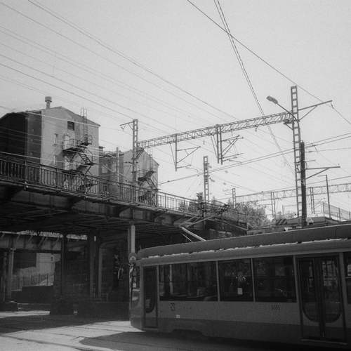 Photo #12422475
