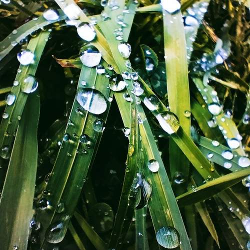 Photo #12422549