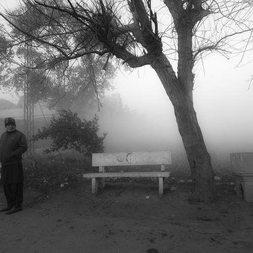 Photo #12422575