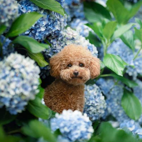 Фотография #12422591