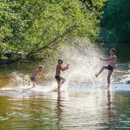 Photo #12423332