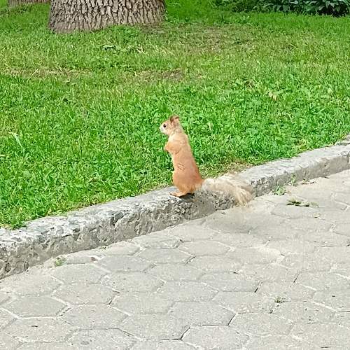 Photo #12423341