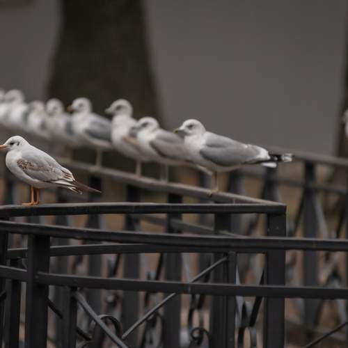 Photo #12423574