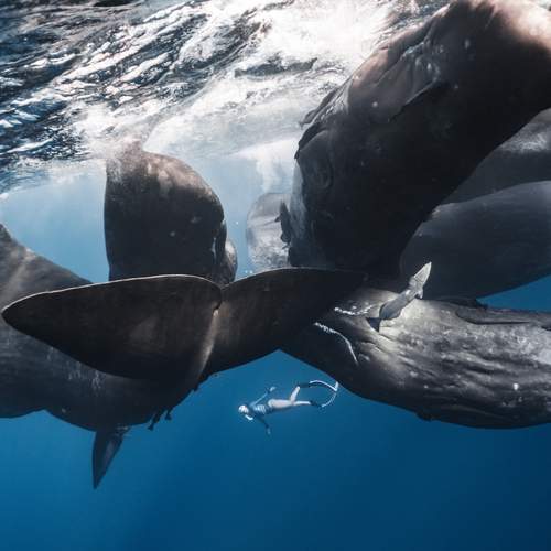 Photo #12423656