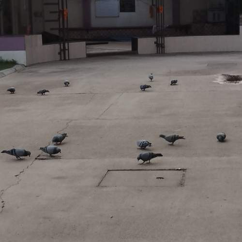 Photo #12423722