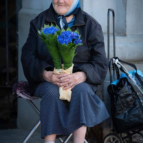 Photo #12423747