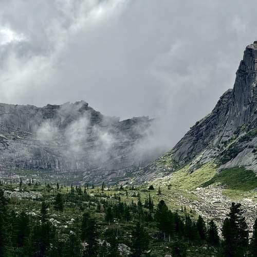 Photo #12423839