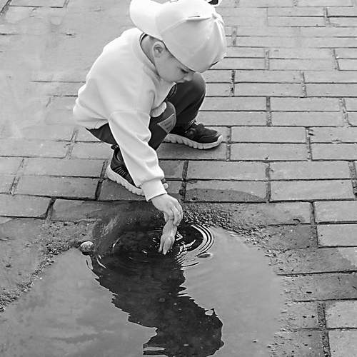 Photo #12424023