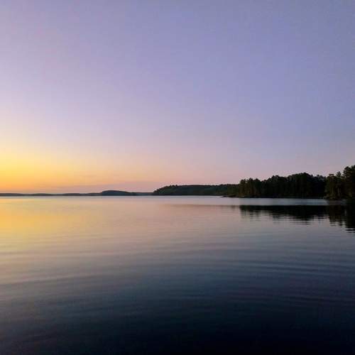 Photo #12424632