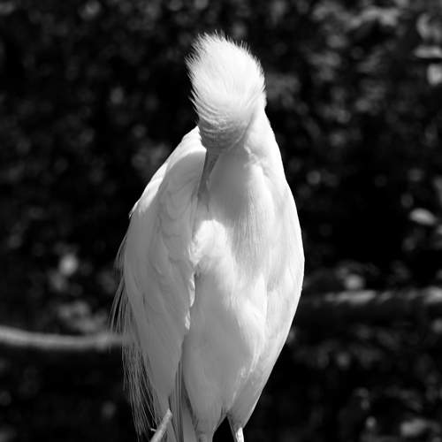 Фотография #12424699