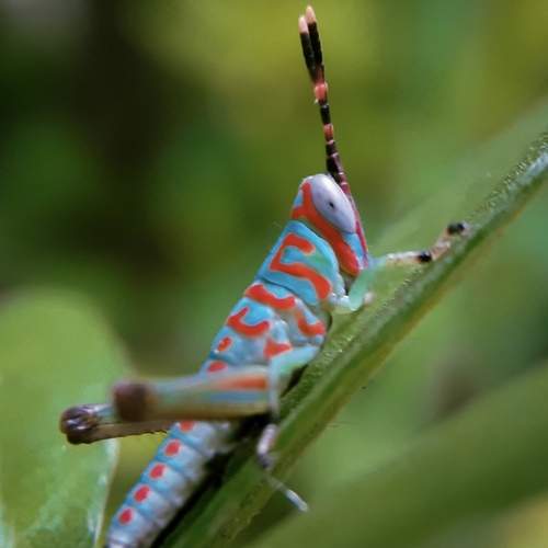 Photo #12424882