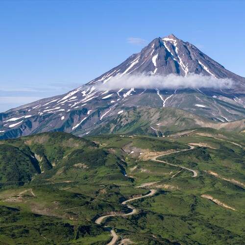 Photo #12425534