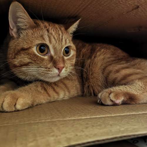 Photo #12425701