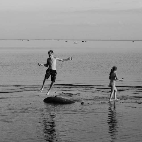 Photo #12425825
