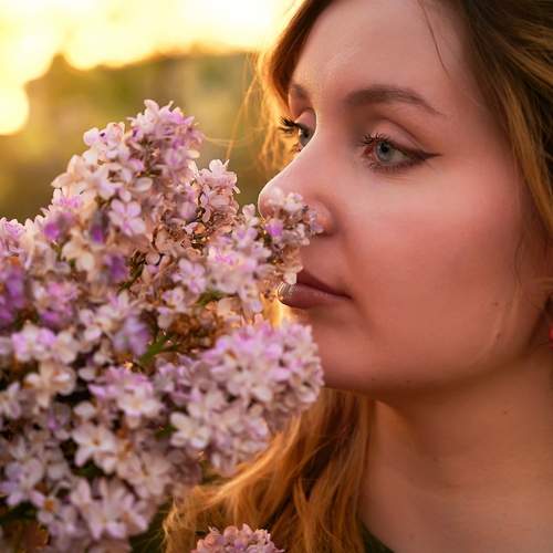 Photo #12426178