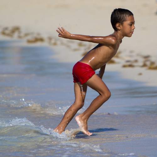 Photo #12426315