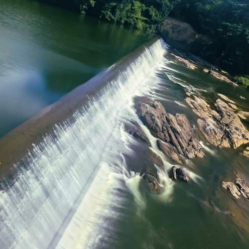 Photo #12426421