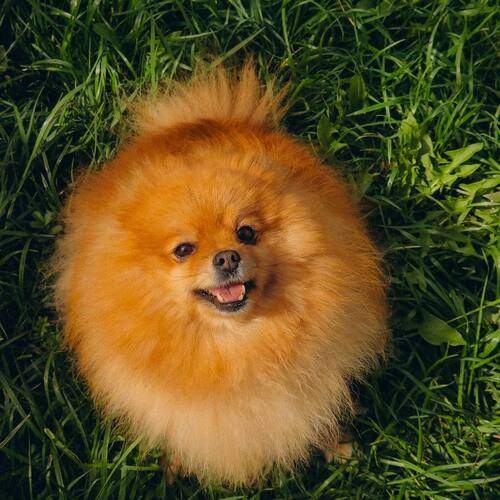 Photo #12426603
