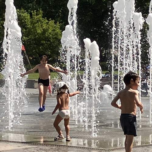Photo #12426611