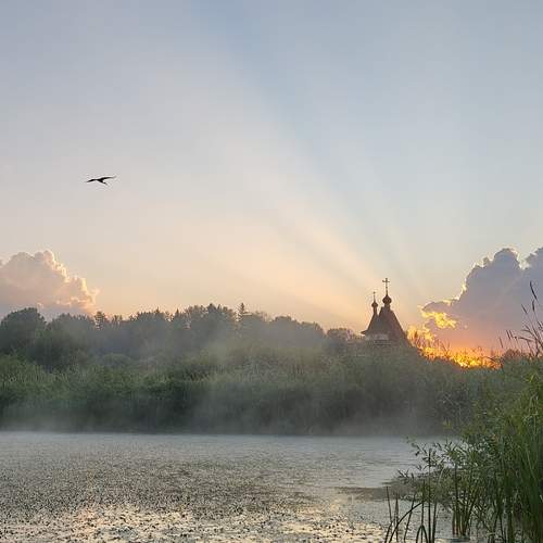 Photo #12426684