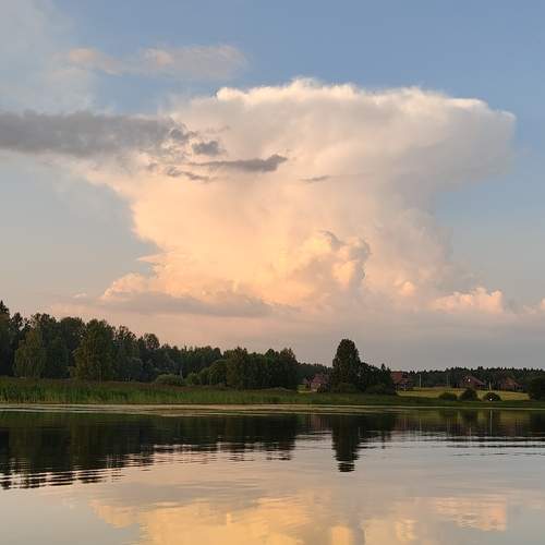 Photo #12426703
