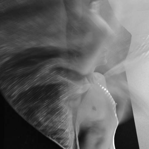 Photo #12426714