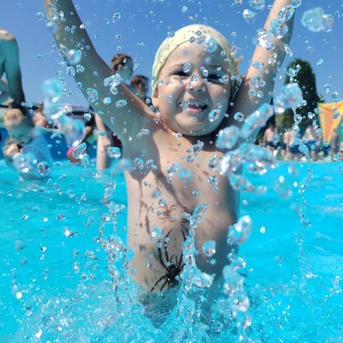 Photo #12426792