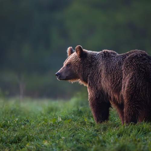 Looking forward tommorow