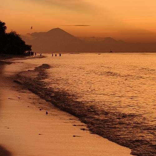 Photo #12427290