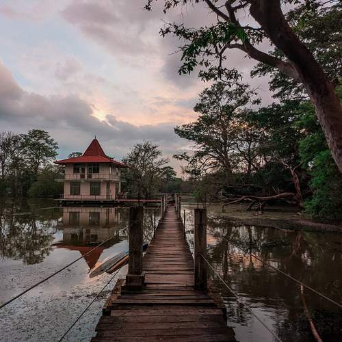 Photo #12427479