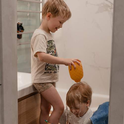 Photo #12427544