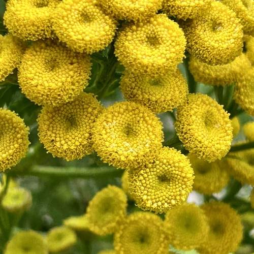 Photo #12427821