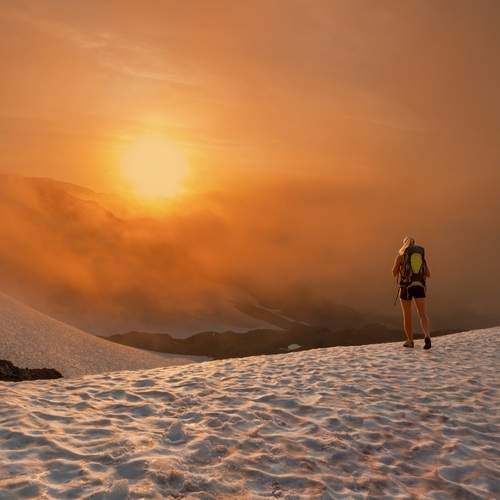 Photo #12428093