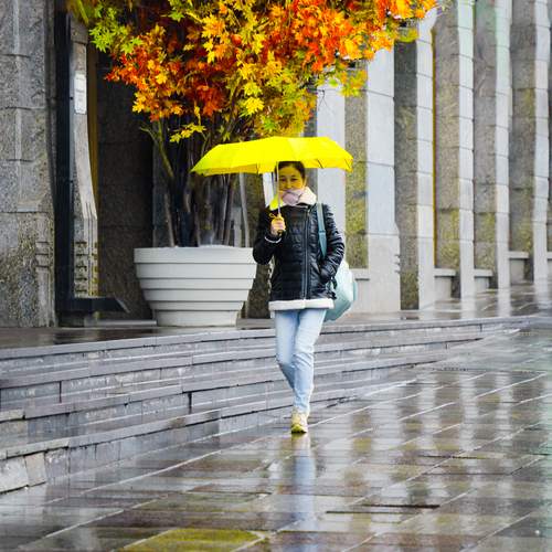 Photo #12428140