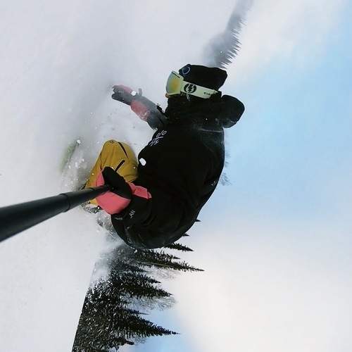 Photo #12428301
