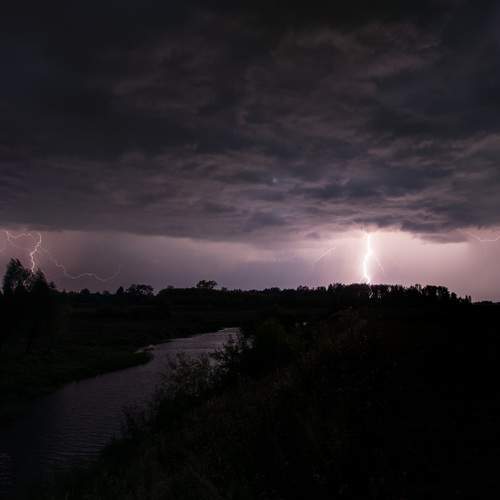 Photo #12428346