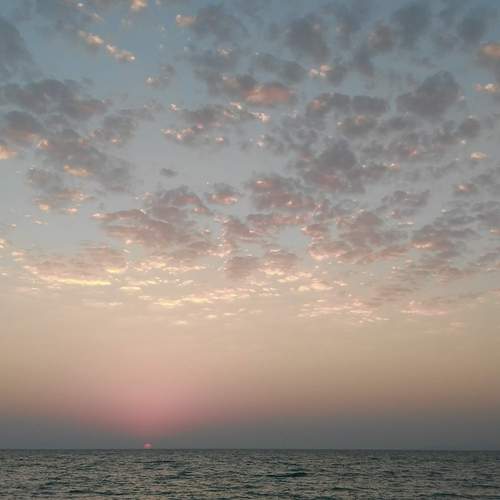 Photo #12428354