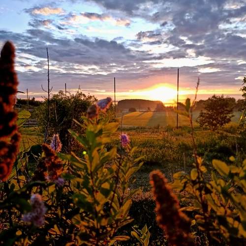 Photo #12428797