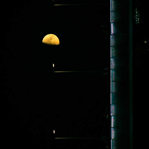 Photo #12428836
