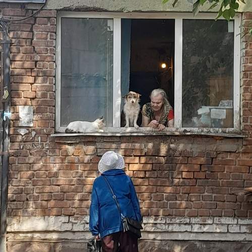 Photo #12429061