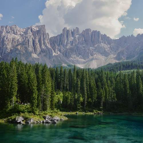 Photo #12429108