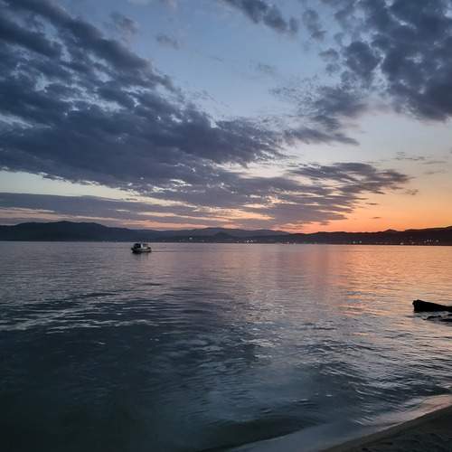 Photo #12429827
