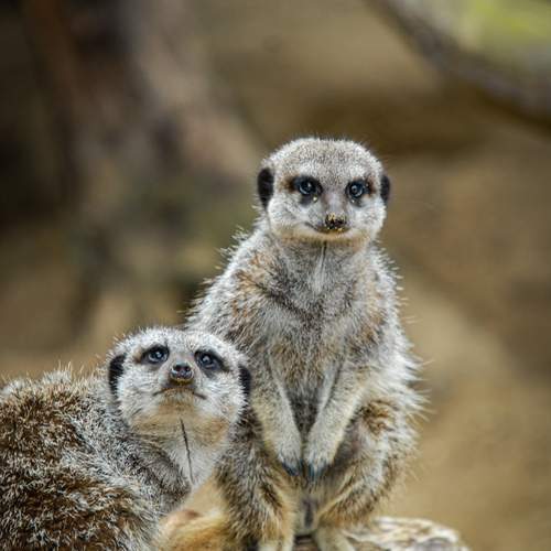 Photo #12430229