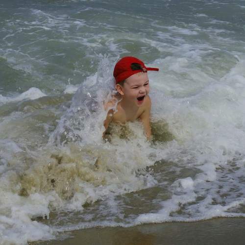 Photo #12430557