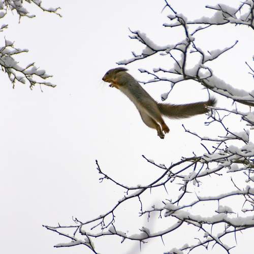 Photo #12430866
