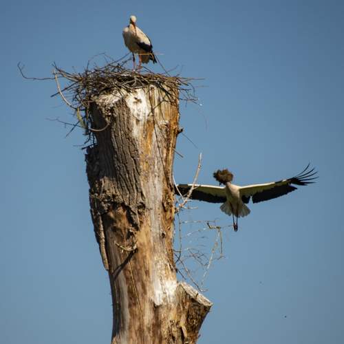 Photo #12430867