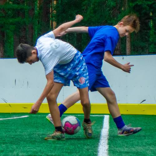 Photo #12431022